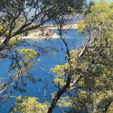 Appartement Soldénia